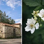 El Paraiso Del Pas Barcenilla
