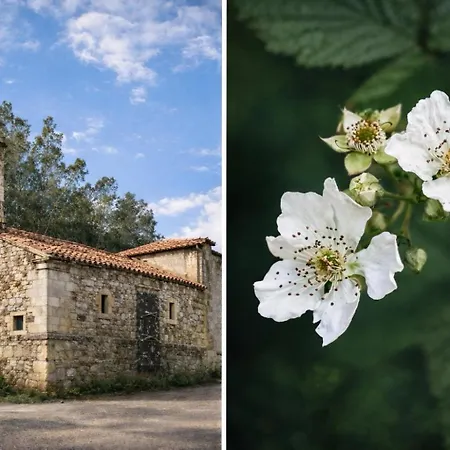 El Paraiso Del Pas Barcenilla