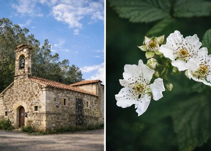 El Paraiso Del Pas Barcenilla